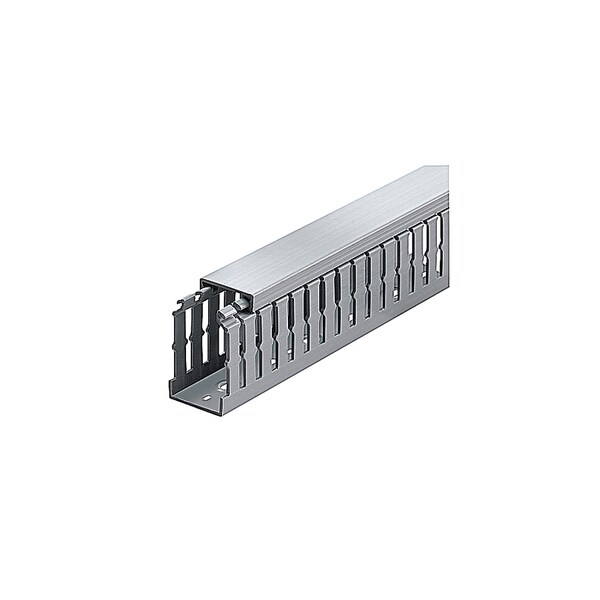 Thomas & Betts 2X4 NARROW SLOT GRAY DUCT, 6 FT PIECE, TY2X4NPG6